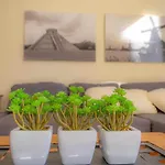 Apartmán Primavera E Piscina *